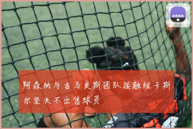 阿森纳与吉马良斯团队接触纽卡斯尔坚决不出售球员