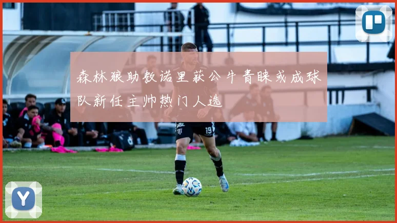 森林狼助教诺里获公牛青睐或成球队新任主帅热门人选