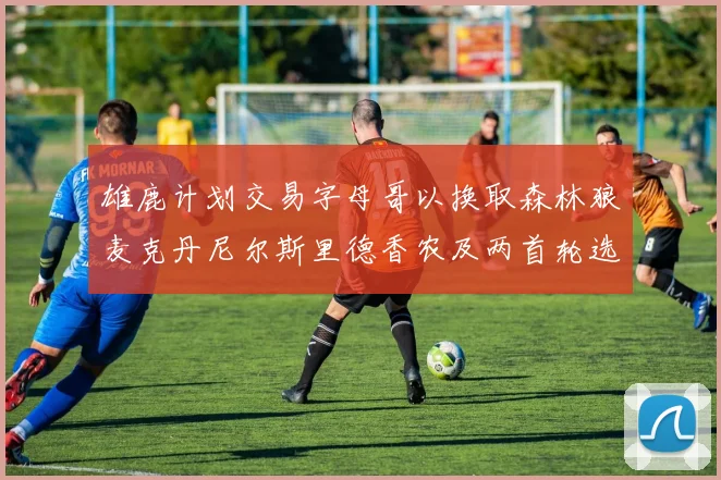 雄鹿计划交易字母哥以换取森林狼麦克丹尼尔斯里德香农及两首轮选秀权